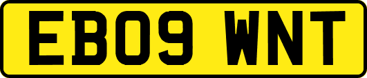 EB09WNT