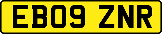 EB09ZNR