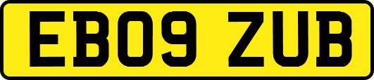 EB09ZUB