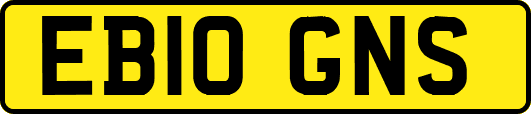EB10GNS