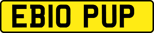 EB10PUP