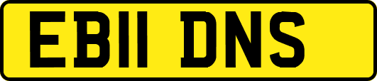 EB11DNS