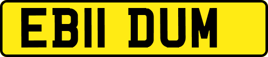 EB11DUM