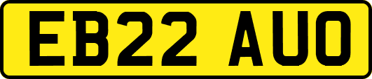 EB22AUO