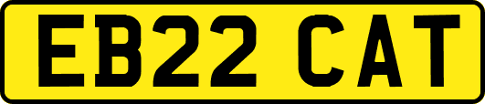 EB22CAT