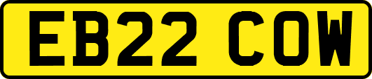 EB22COW