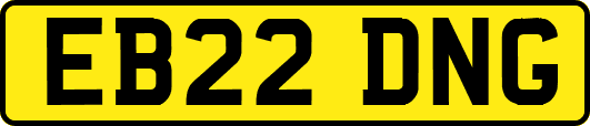 EB22DNG