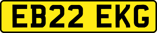 EB22EKG