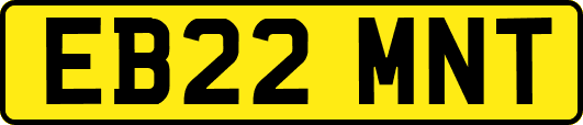 EB22MNT