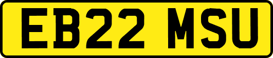 EB22MSU