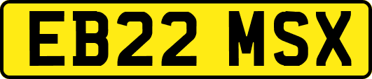 EB22MSX
