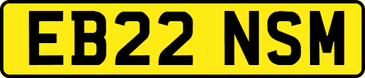 EB22NSM