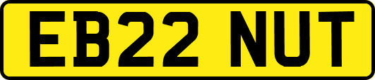 EB22NUT
