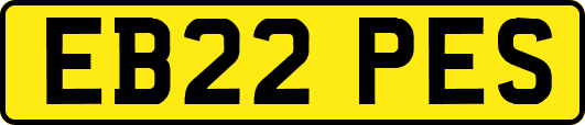 EB22PES