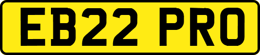 EB22PRO