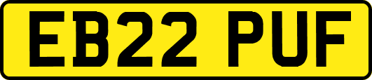 EB22PUF