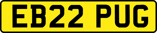 EB22PUG