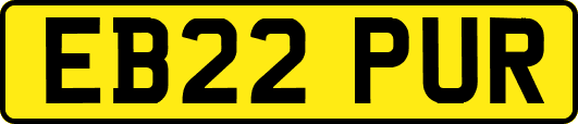 EB22PUR
