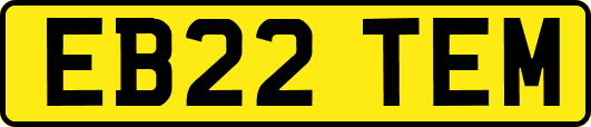 EB22TEM