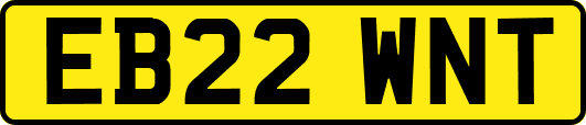 EB22WNT