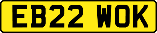 EB22WOK