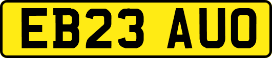 EB23AUO