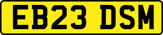 EB23DSM