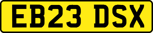 EB23DSX