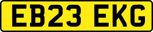 EB23EKG