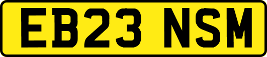 EB23NSM