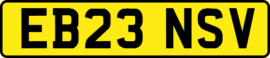 EB23NSV