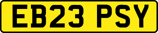 EB23PSY