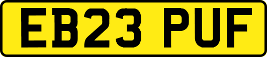 EB23PUF