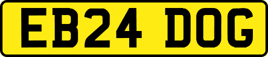 EB24DOG