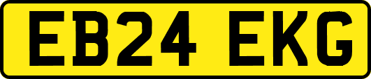 EB24EKG