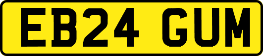 EB24GUM