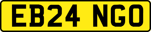 EB24NGO