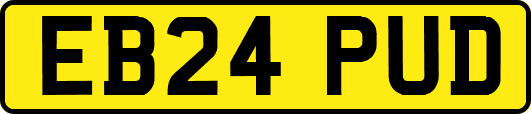 EB24PUD