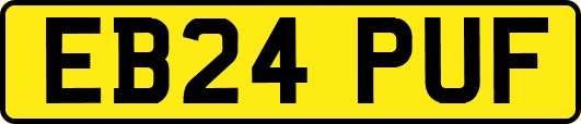 EB24PUF