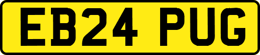 EB24PUG