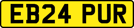 EB24PUR