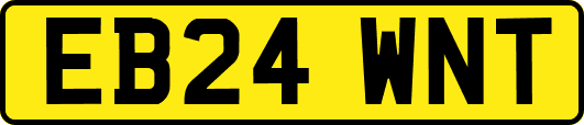 EB24WNT
