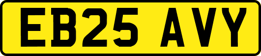 EB25AVY