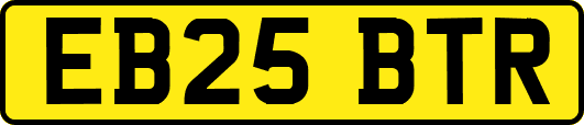 EB25BTR