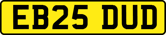 EB25DUD