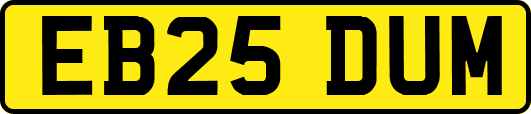 EB25DUM