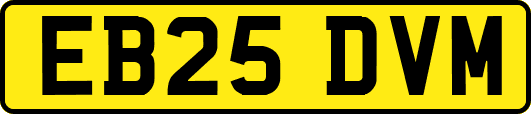 EB25DVM