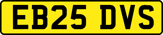 EB25DVS