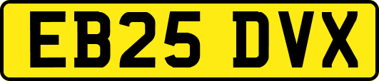 EB25DVX