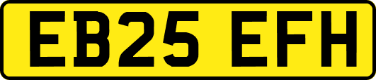 EB25EFH